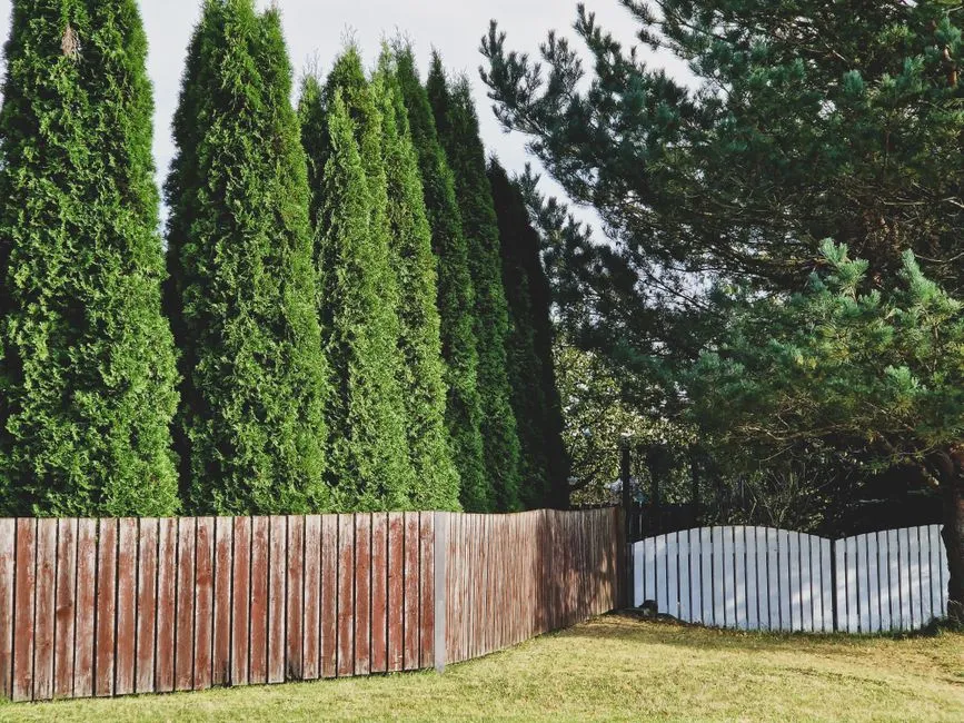 New fence installation — MVP Construction